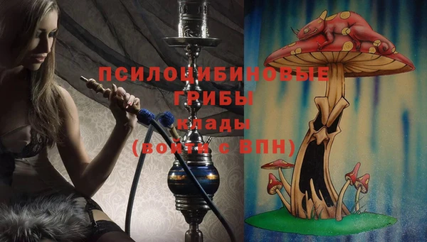прущая мука Армянск