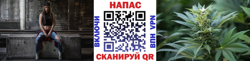 Купить где  Пласт  Конопля Amnesia 